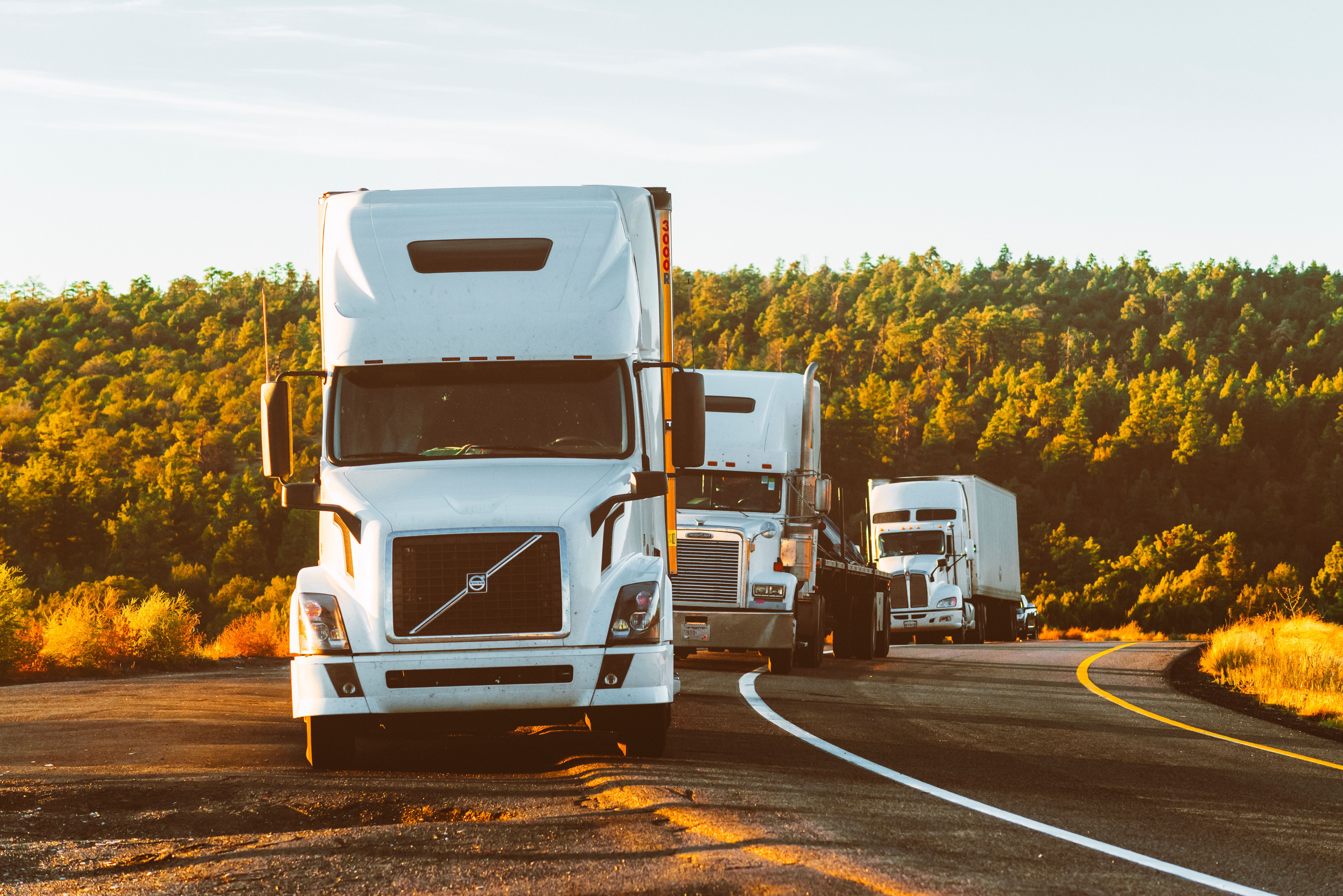 Transportation Management